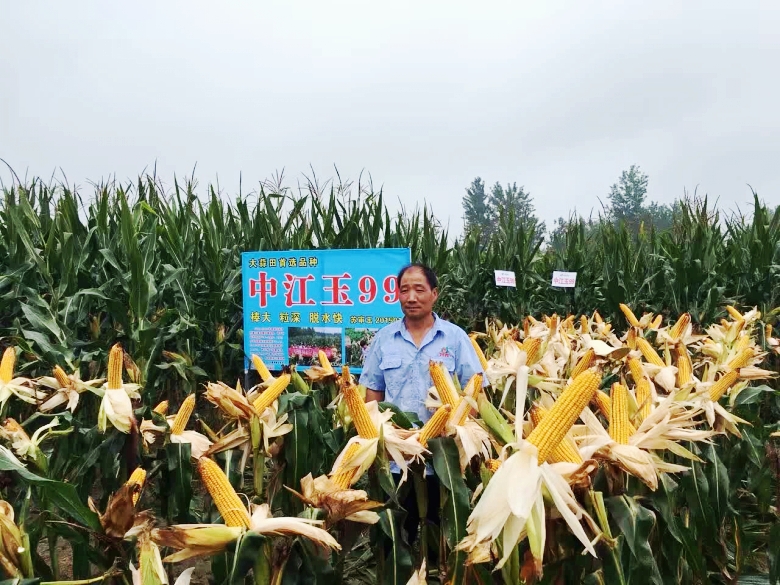 2_conew1.jpg 2_conew1.jpg