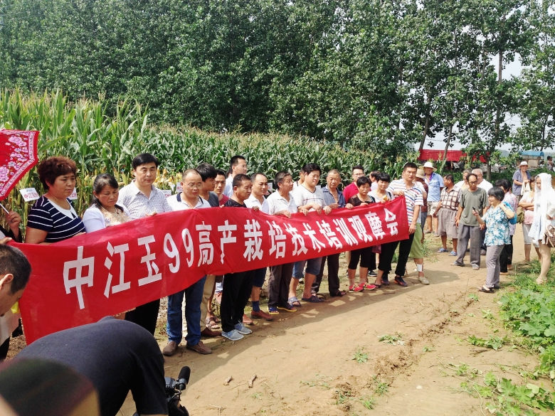 4_conew1.jpg 4_conew1.jpg